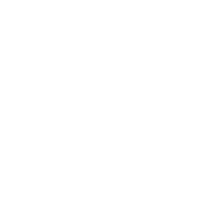 dishari-web